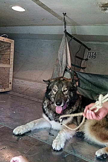 IMG-20150401-WA0001-crop