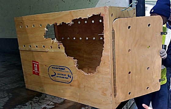 IMG-20150401-WA0002-crop
